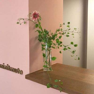 极速赛车社区合作平台